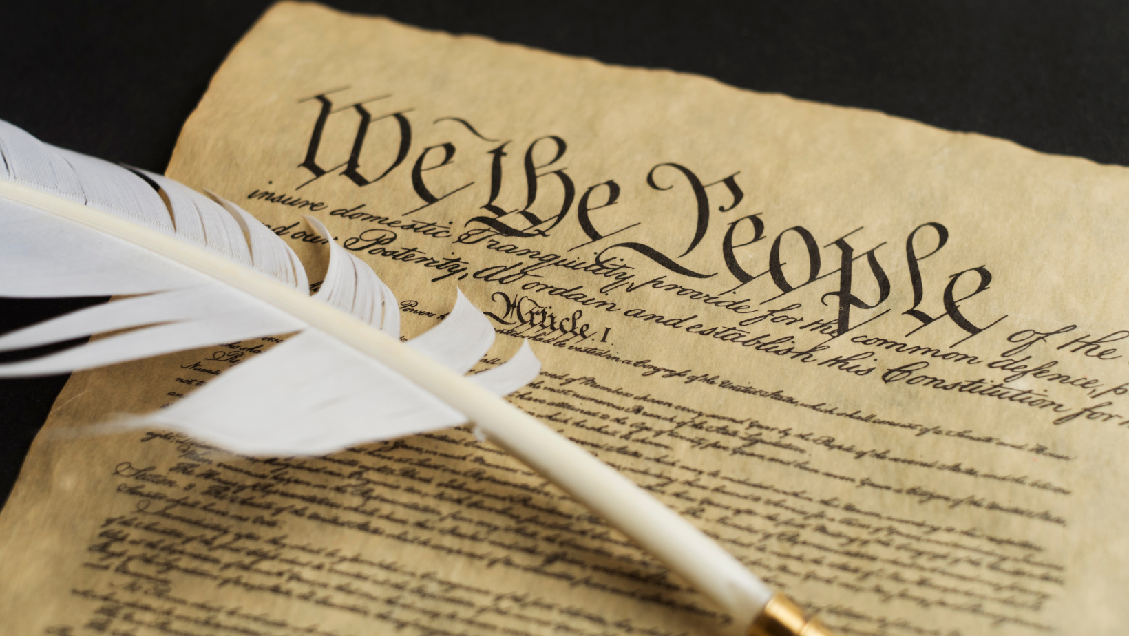 SEL and the Future of Our Democracy 