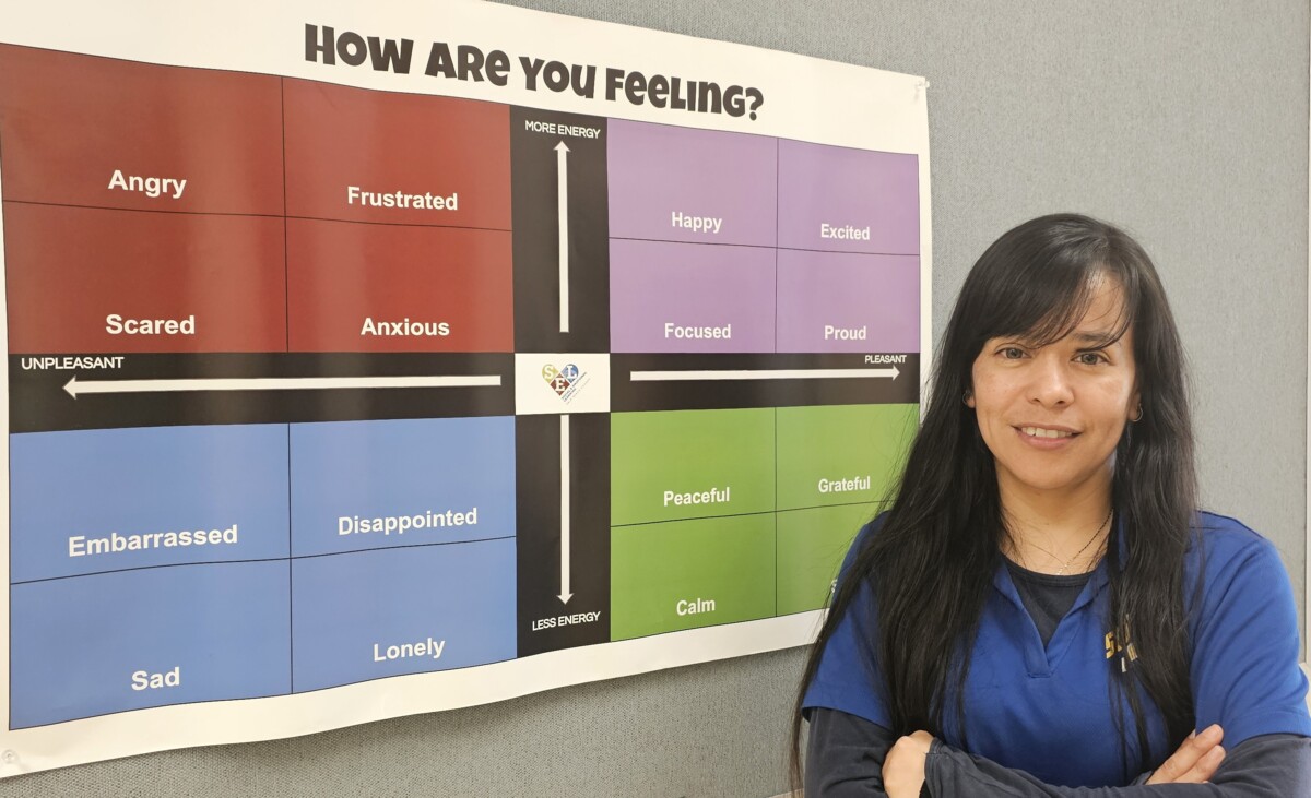 Emotional Development for Educators: A Critical Need