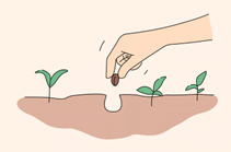 cartoon of a seed being planted in the ground